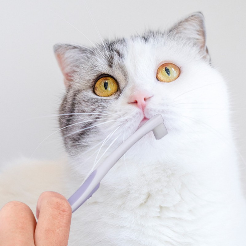 Dog Toothbrush Dog Teeth Clean - Teeth Whitening Brush review and price