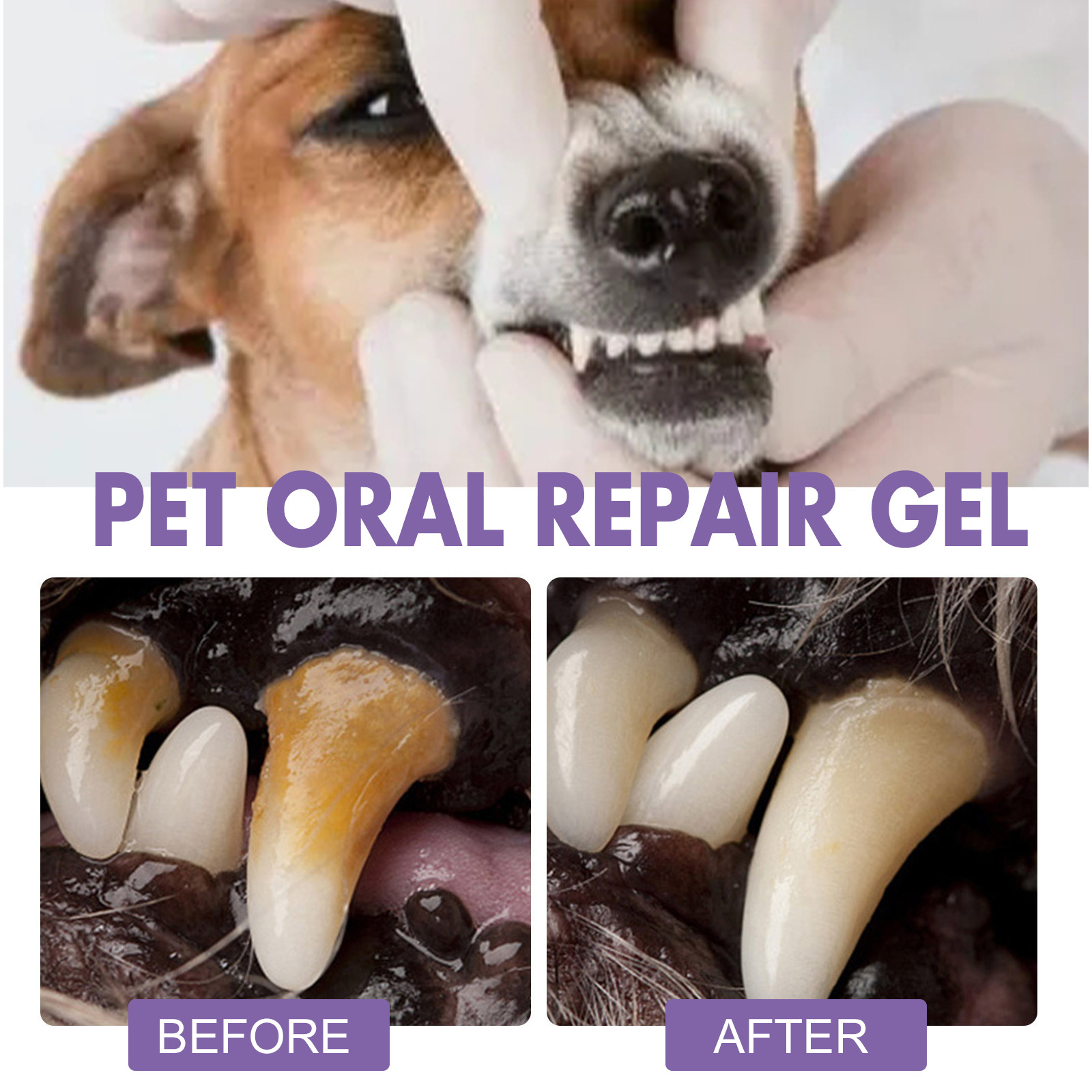 Pet Oral Repair Gel Puppy Tart - Teeth Whitening With Hydrogen Peroxide review and price